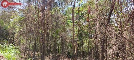 chacara-venda-vale-do-sol-sao-joaquim-de-bicas-612525