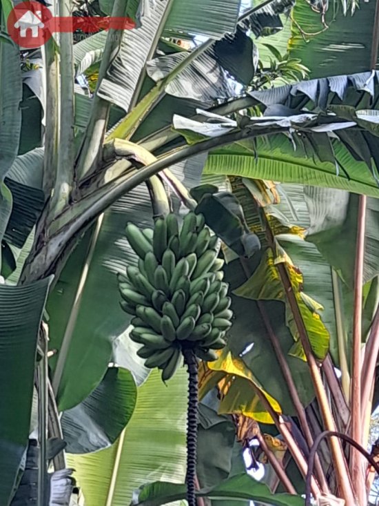 sitio-venda-bandeirinhas-betim-mg-1023883