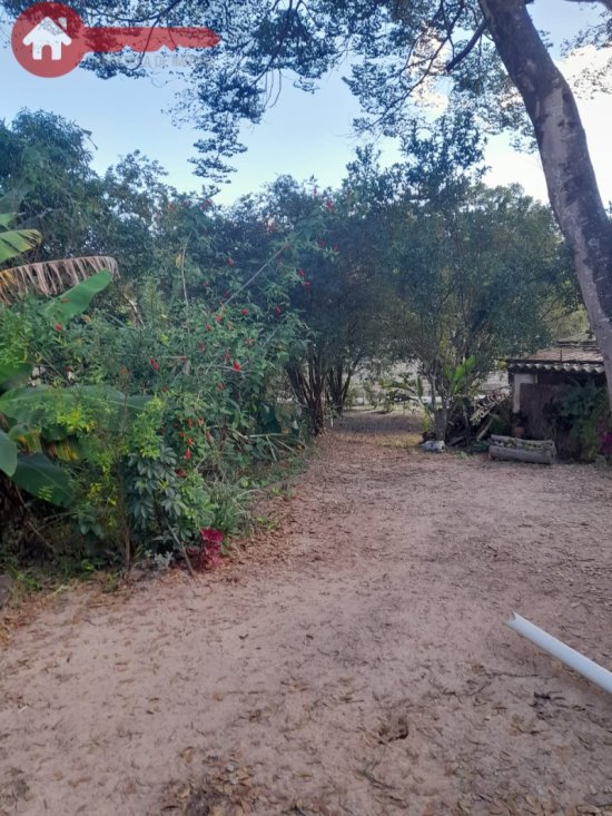 sitio-venda-bandeirinhas-betim-mg-1023881