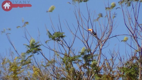 fazenda-venda-esmeraldas-vista-alegre-390699