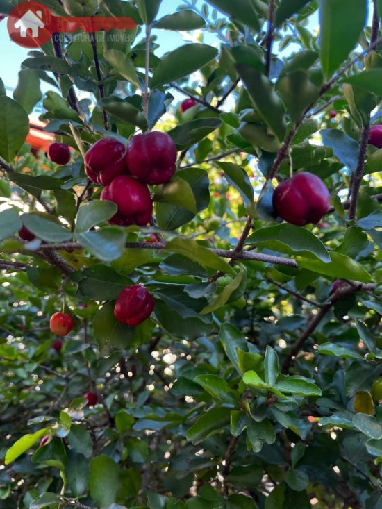 sitio-venda-azurita-mateus-leme-1024262