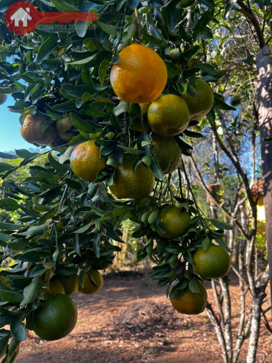 sitio-venda-azurita-mateus-leme-1024263