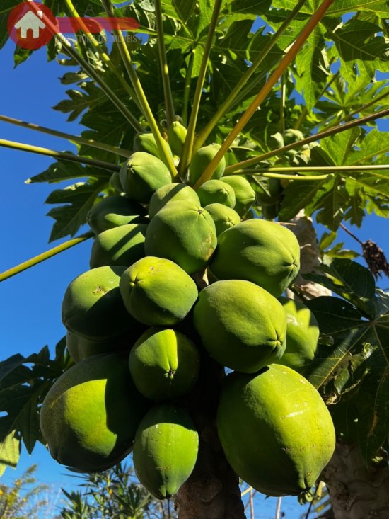 sitio-venda-azurita-mateus-leme-1024264