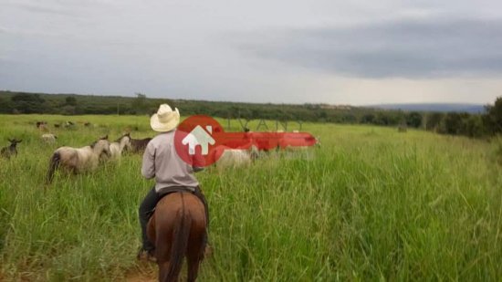 fazenda-venda-augusto-de-lima-mg-777585