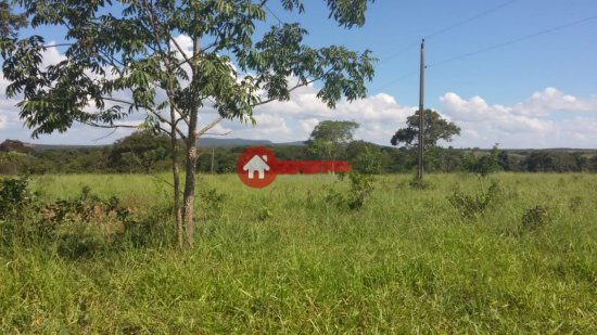 fazenda-venda-augusto-de-lima-mg-777588