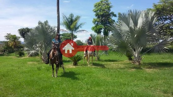 fazenda-venda-augusto-de-lima-mg-777577