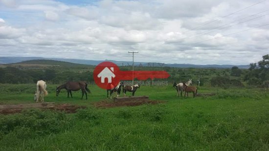 fazenda-venda-augusto-de-lima-mg-777578