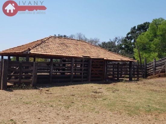 fazenda-venda-corinto-447925