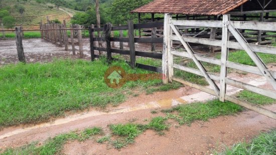 fazenda-venda-santana-de-pirapama-cordisburgo-109827