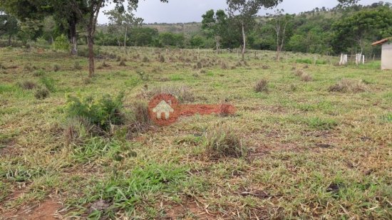 fazenda-venda-santana-de-pirapama-cordisburgo-109828