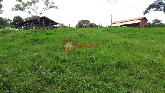 fazenda-venda-santana-de-pirapama-cordisburgo-109830