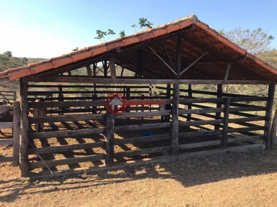 fazenda-venda-santana-de-pirapama-cordisburgo-109831