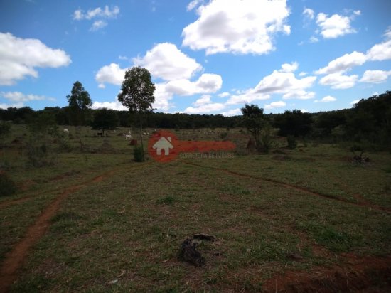 fazenda-venda-cordisburgo-110090