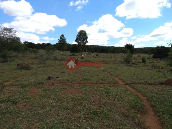 fazenda-venda-cordisburgo-110092