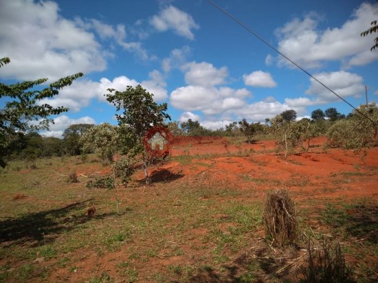 fazenda-venda-cordisburgo-110095