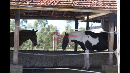 fazenda-venda-corrego-danta-70470