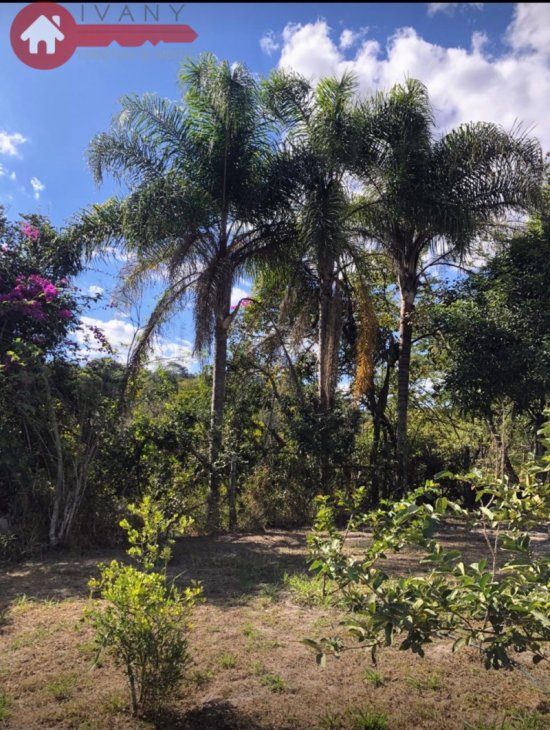 sitio-venda-charneca-betim-mg-1050535