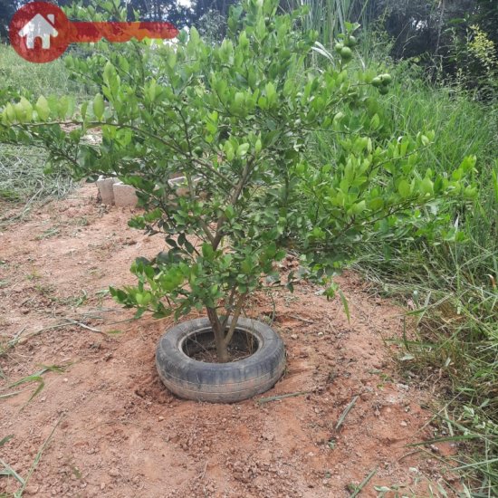 terreno-venda-charneca-betim-mg-1025722