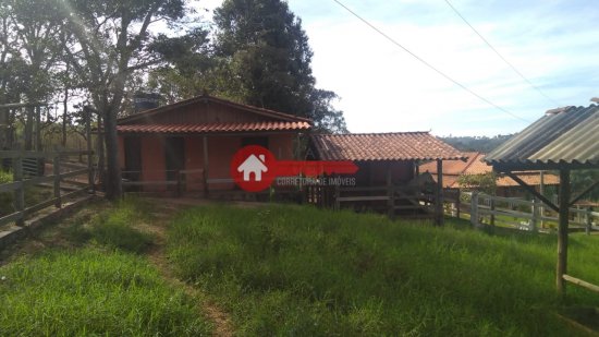 fazenda-venda-mateus-leme-225482