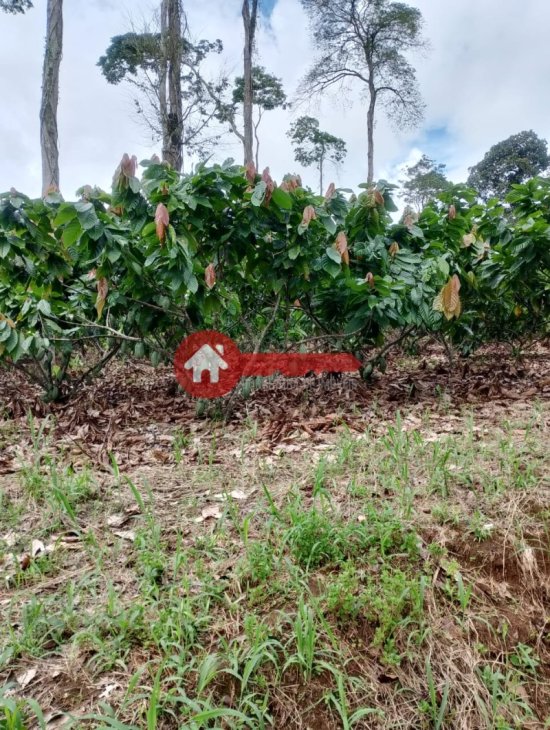 fazenda-venda-estado-do-para-924543