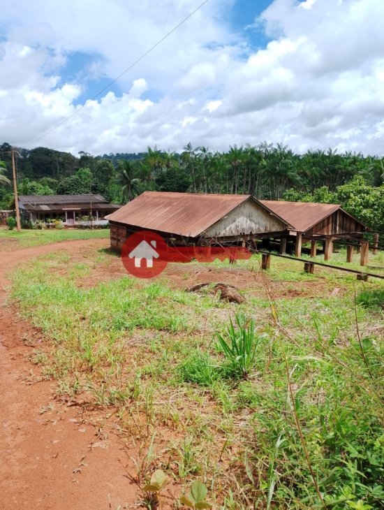 fazenda-venda-estado-do-para-924544