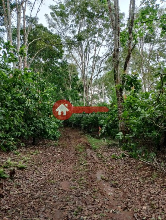 fazenda-venda-estado-do-para-924545