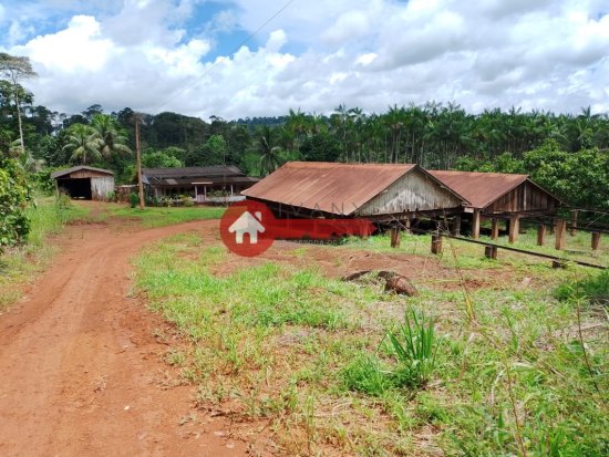 fazenda-venda-estado-do-para-924535