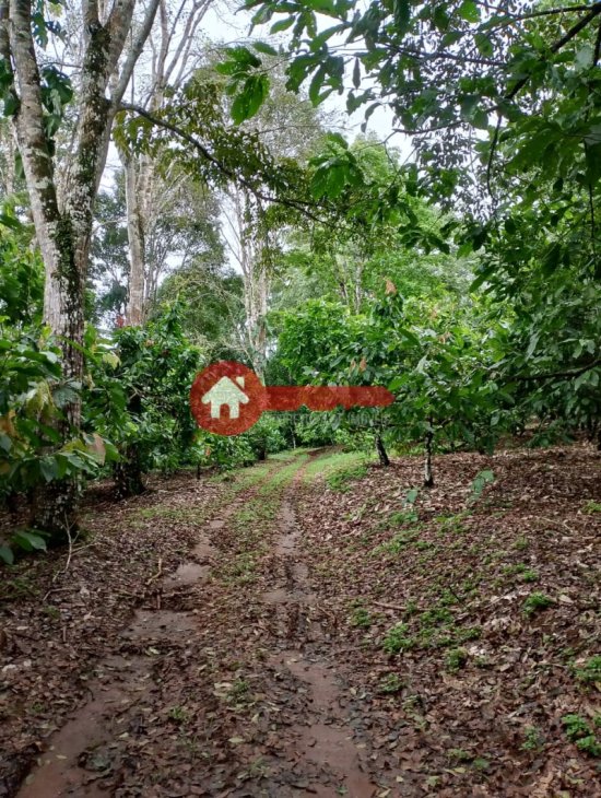 fazenda-venda-estado-do-para-924536