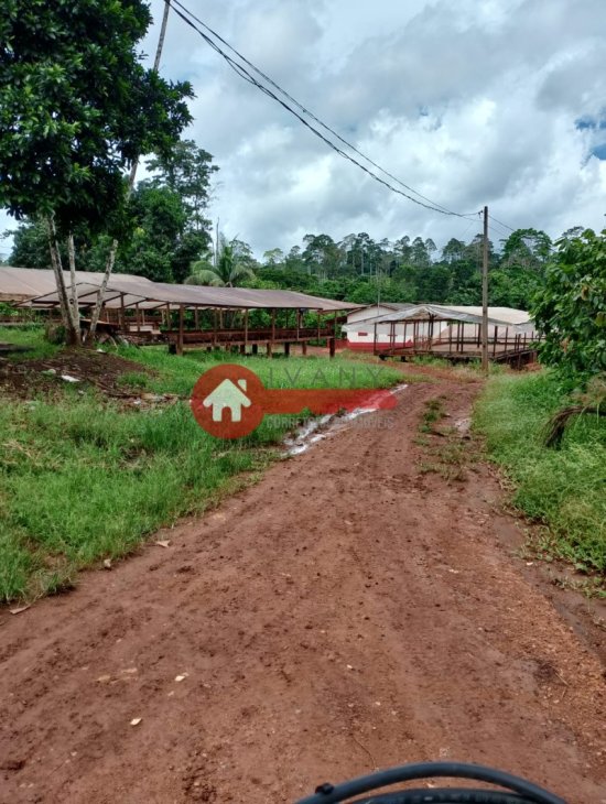 fazenda-venda-estado-do-para-924537