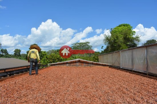 fazenda-venda-pacaja-para-924720