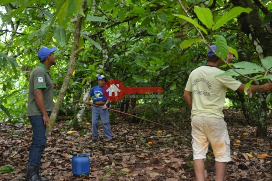 fazenda-venda-pacaja-para-924724