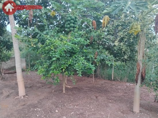 chacara-venda-diamantina-juatuba-mg-1042935