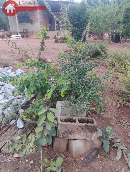 chacara-venda-diamantina-juatuba-mg-1042938