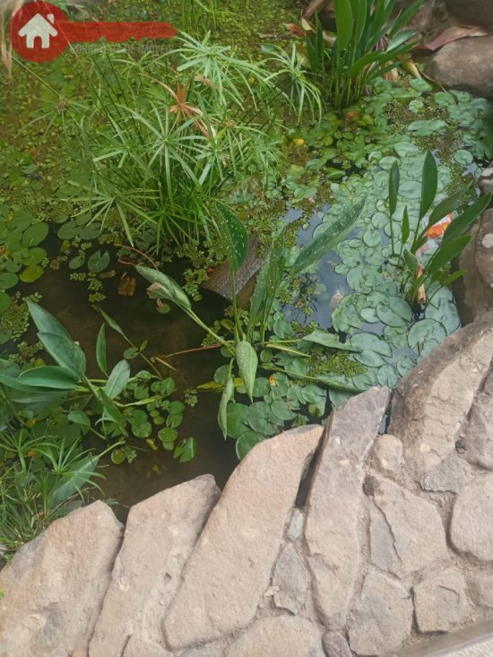 casa-venda-vila-cristina-betim-mg-1048262