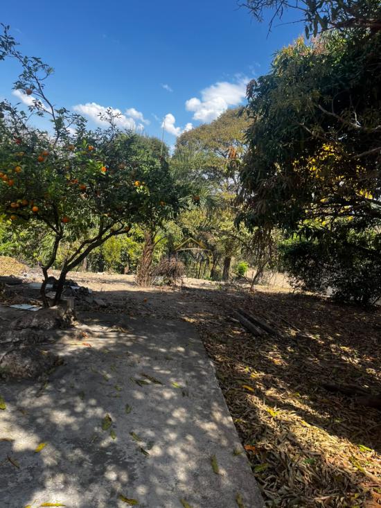 sitio-venda-boa-esperanca-sao-joaquim-de-bicas-mg-1062873